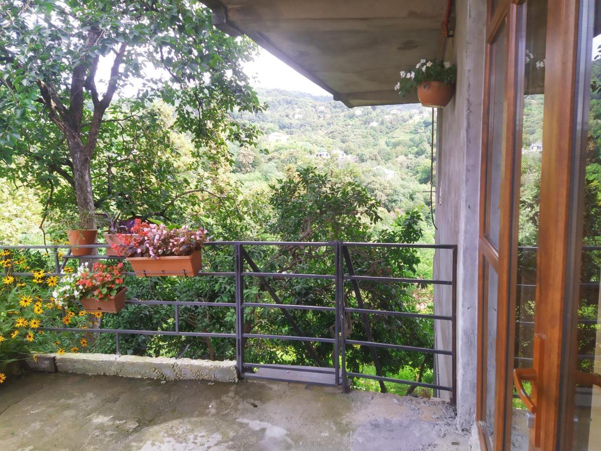 53 Jincharadze Street Makhinjauri, Batumi Villa Exterior foto